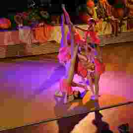 k&uuml;rbisball 2013
