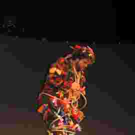 zauberfl&ouml;te 2004