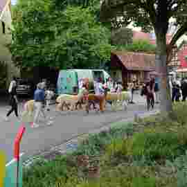 kirbe