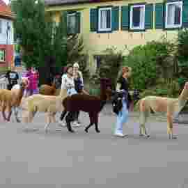 kirbe