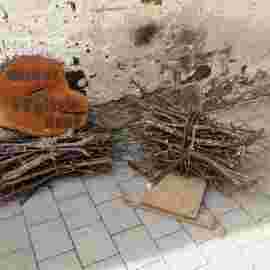 kirbe