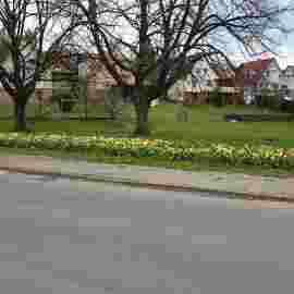 fr&uuml;hling