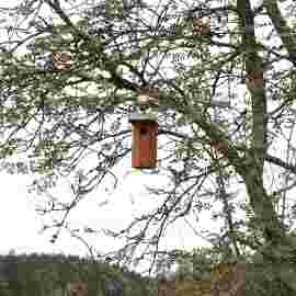 herbst