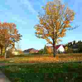 herbst