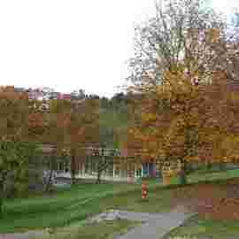 herbst