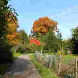 herbst