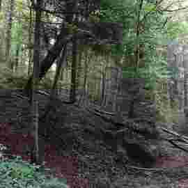 herbst