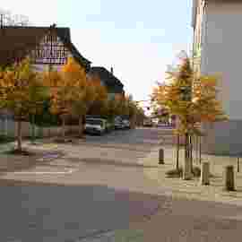 herbst