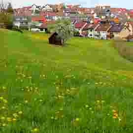 herbst