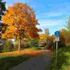 herbst