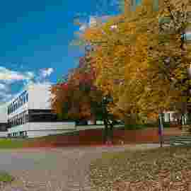 herbst