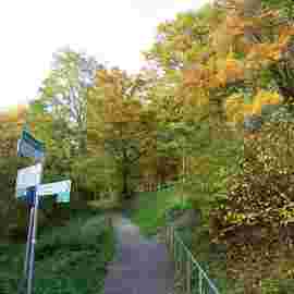 herbst
