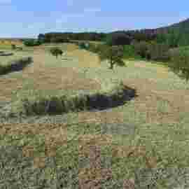 landschaften