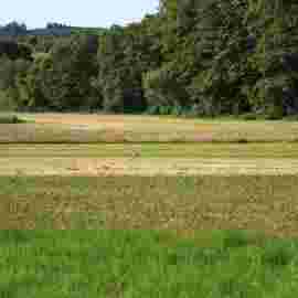 landschaften