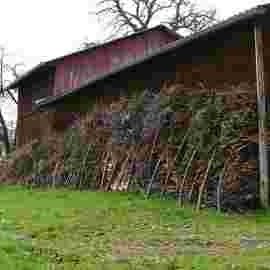 gasthaus lamm