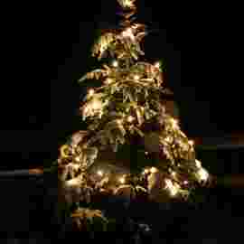 weihnacht 2008