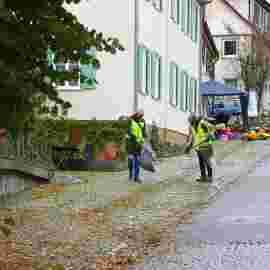clean-up 17.09.2022