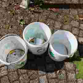 clean-up 20.06.2026