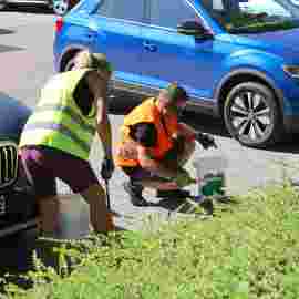 clean-up 20.06.2026
