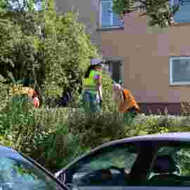clean-up 20.06.2026