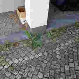 clean-up 20.06.2026