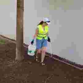 clean-up 20.06.2026