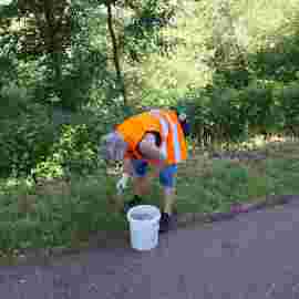 clean-up 20.06.2026