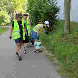 clean-up 20.06.2026