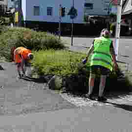 clean-up 20.06.2026