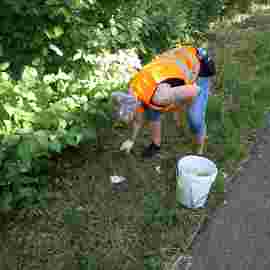 clean-up 20.06.2026