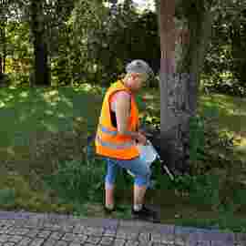 clean-up 20.06.2026