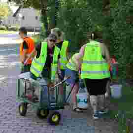 clean-up 20.06.2026