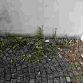 clean-up 20.06.2026