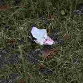 clean-up 20.06.2026