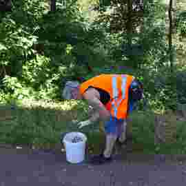 clean-up 20.06.2026
