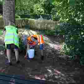 clean-up 20.06.2026