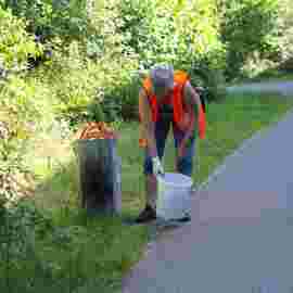 clean-up 20.06.2026