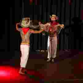 dance festival 2014