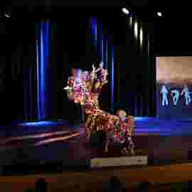 dance festival 2014