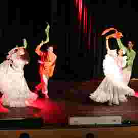 dance festival 2014