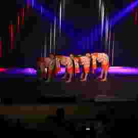 dance festival 2014