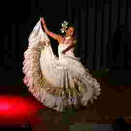 dance festival 2014