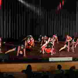 dance festival 2014