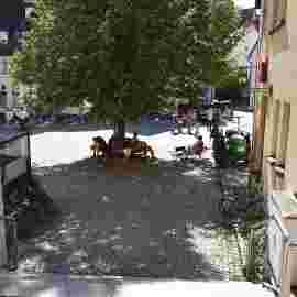 flohmarkt 2023