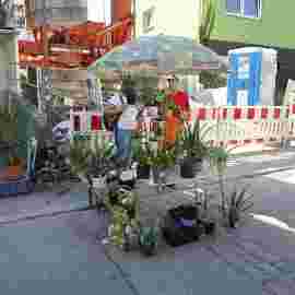 flohmarkt 2023