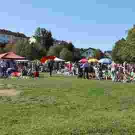 flohmarkt 2025
