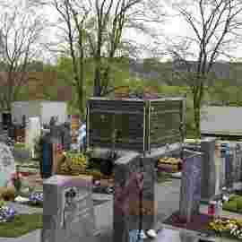 friedhof