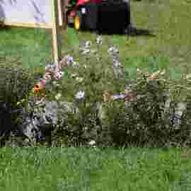gartenmarkt 2012