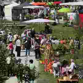 gartenmarkt 2012
