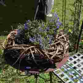 gartenmarkt 2012